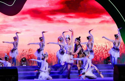 九江夜空璀璨 大型文藝演出燃爆城市熱情