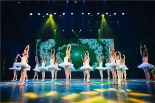 歌唱祖國(guó) 童心飛揚(yáng)——少兒文藝演出圓滿落幕